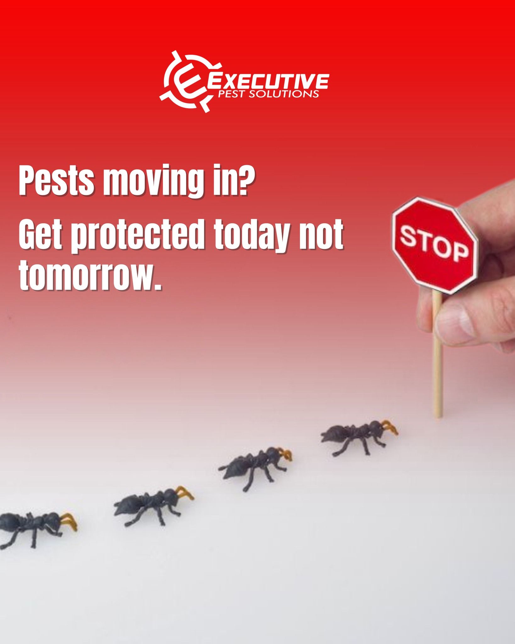 Executive Pest Solutions