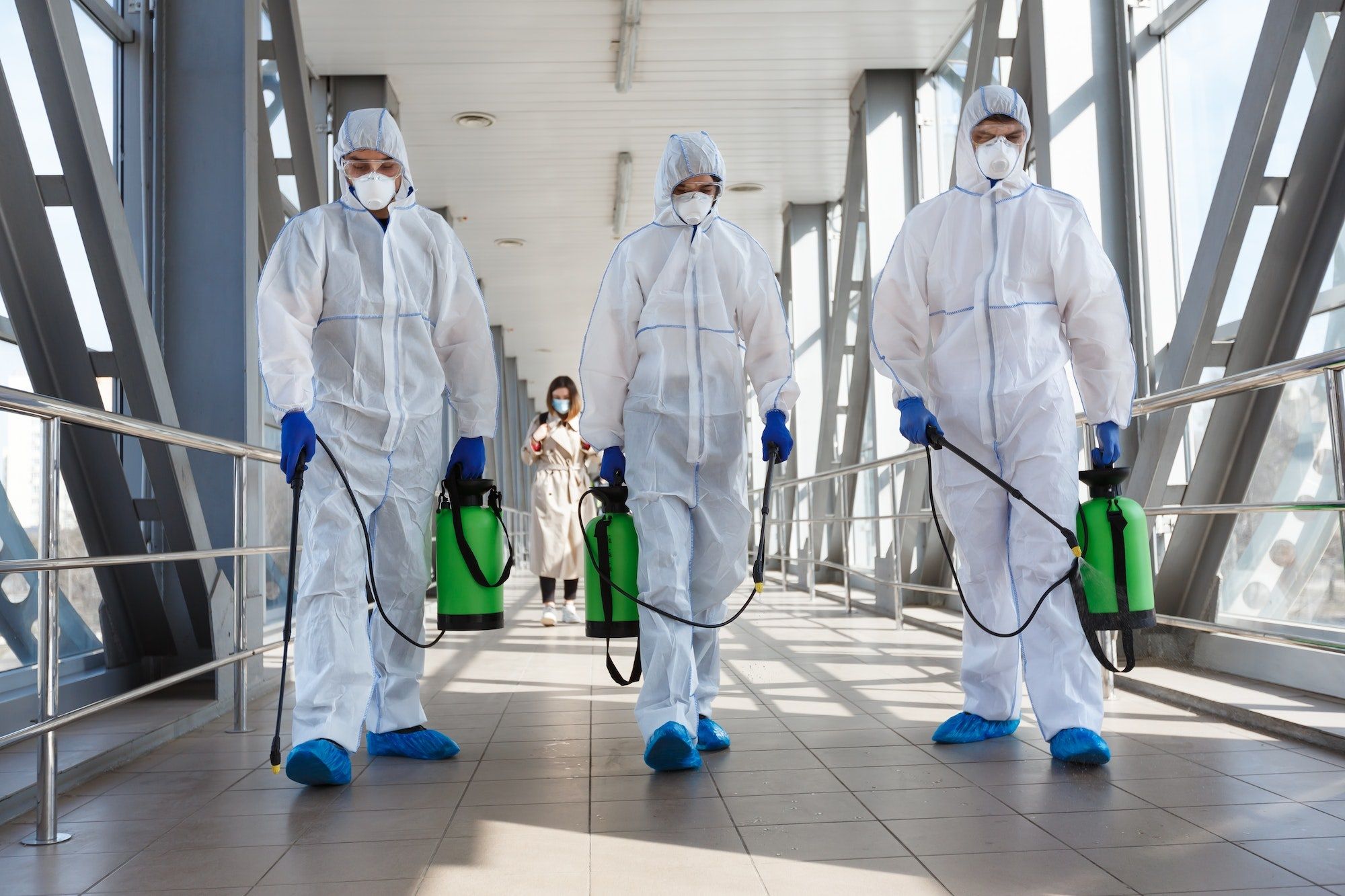 Green Guard Mold Remediation NYC