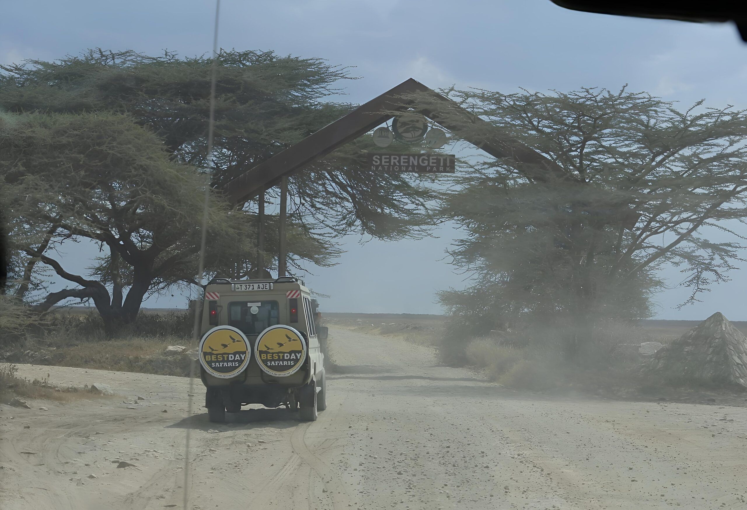 Bestday Safaris