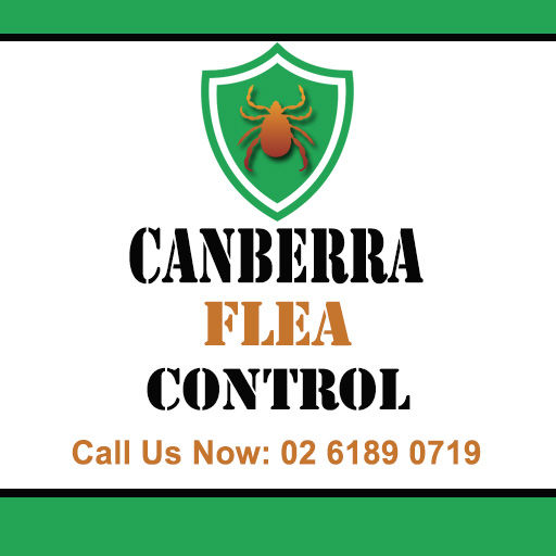 Canberra Flea Control