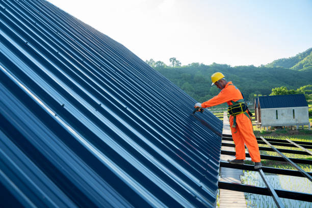 TSW Roofing and Construction LLC
