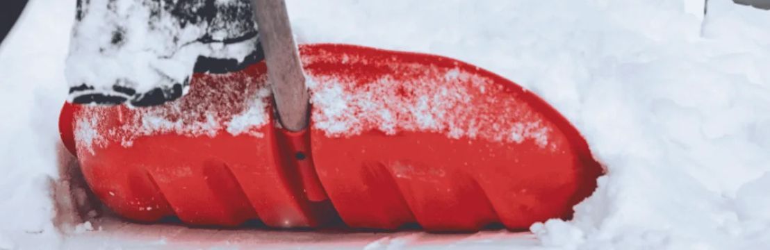 Snow Shovelers