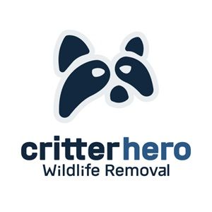 Critter Hero – Wildlife Removal