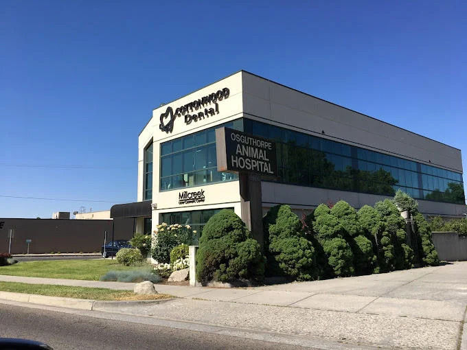 Cottonwood Dental – Trusted Dentist in Salt Lake City, UT