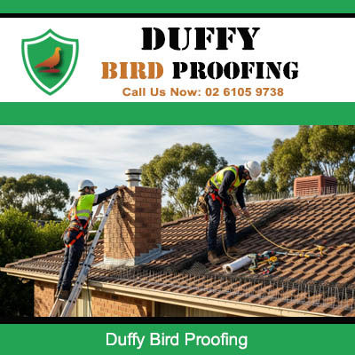 Duffy Bird Proofing
