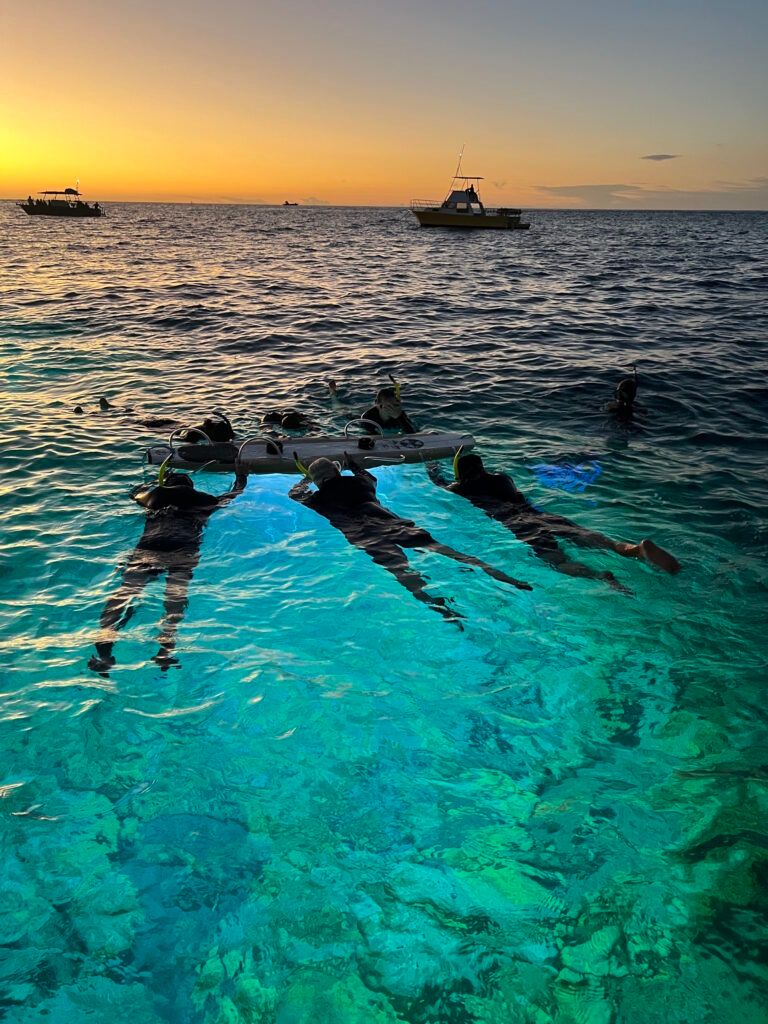 Manta Ray Night Snorkel Kona