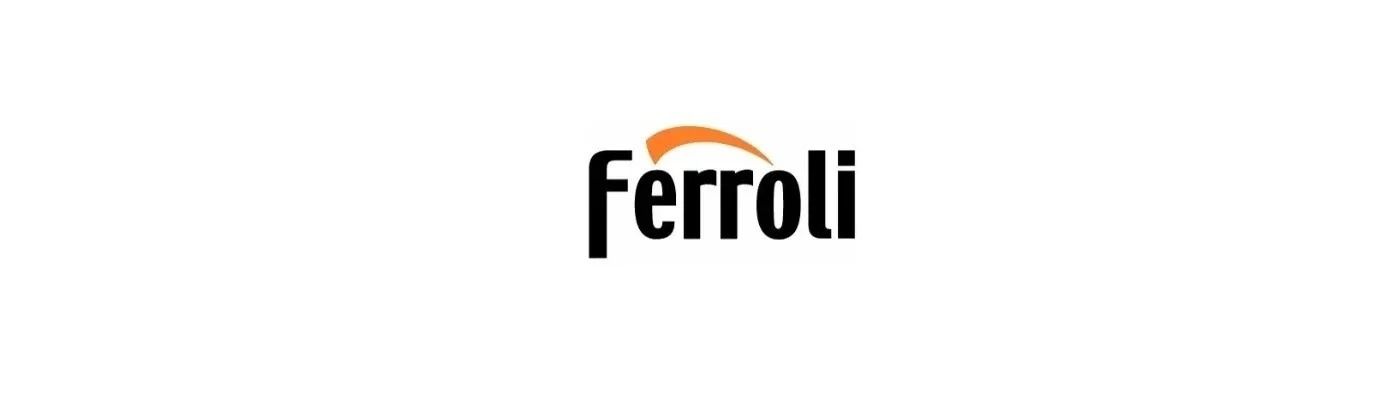 servicio tecnico Ferroli