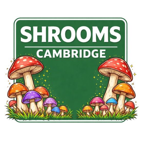 Shrooms Cambridge