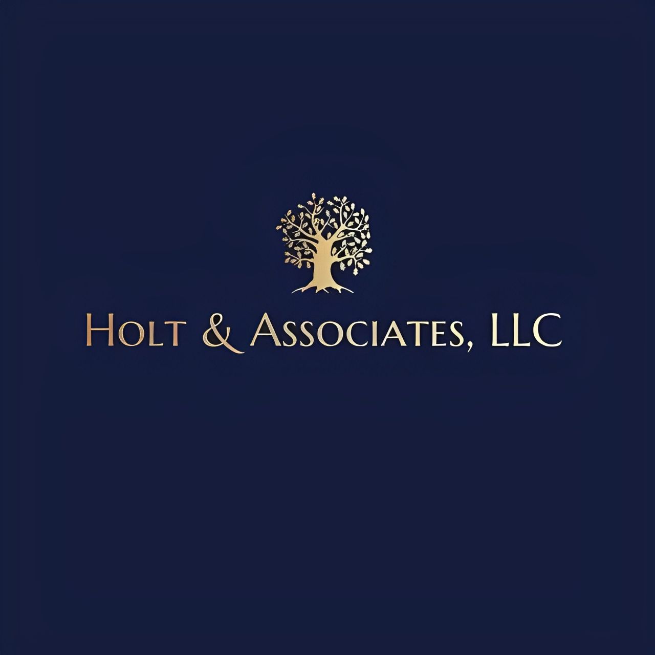LD Holt & Associates PC