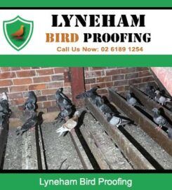 Lyneham Bird Proofing