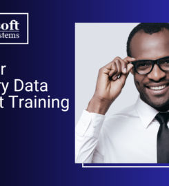 Multisoft Systems