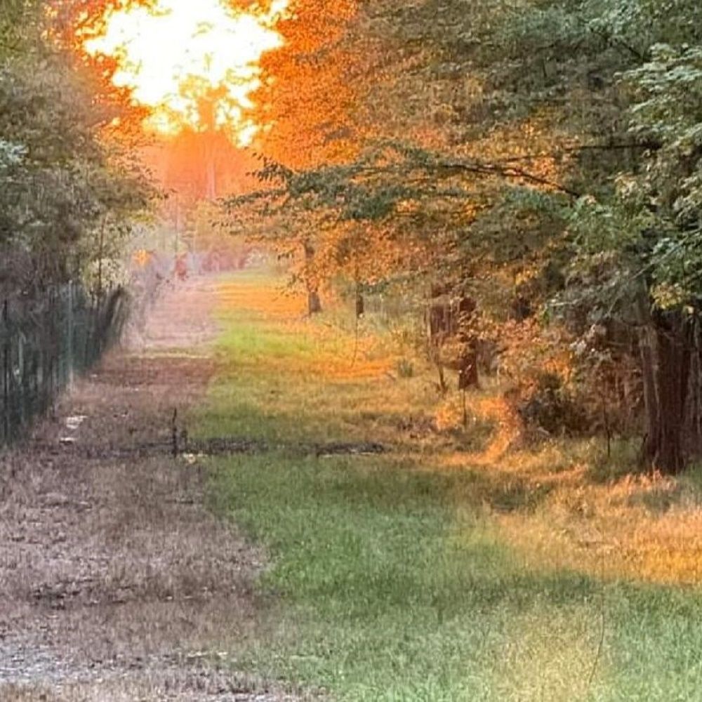 Sunset Farms Wedding Venue