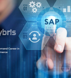 Multisoft Systems