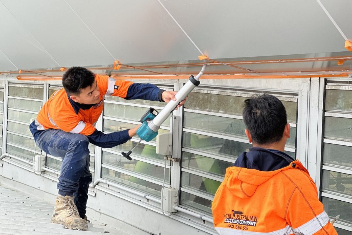 The Australian Caulking Company