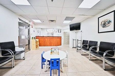 Dr. Ivy Wang, DDS