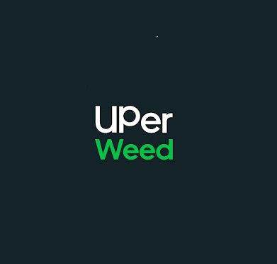 Uper Weed
