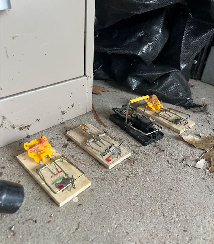 West Covina Pest Pros