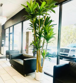 Aesthetica Salon Suites