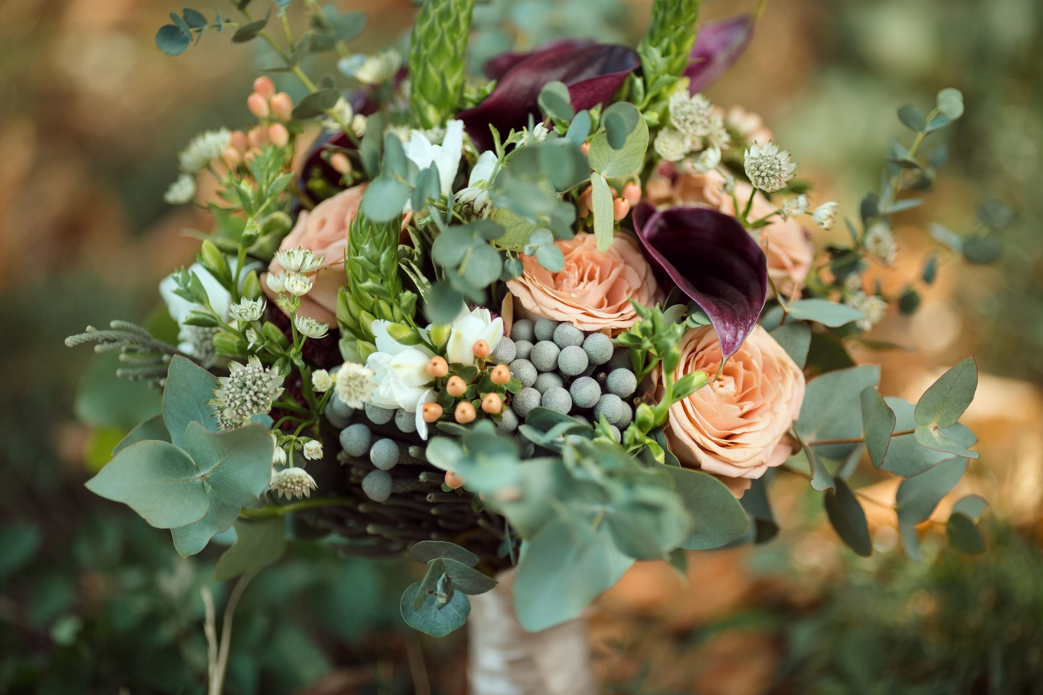 Spring Klein Flowers