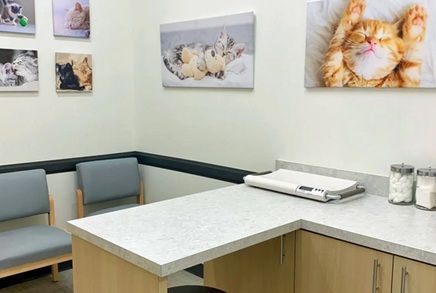 Urgent Vet