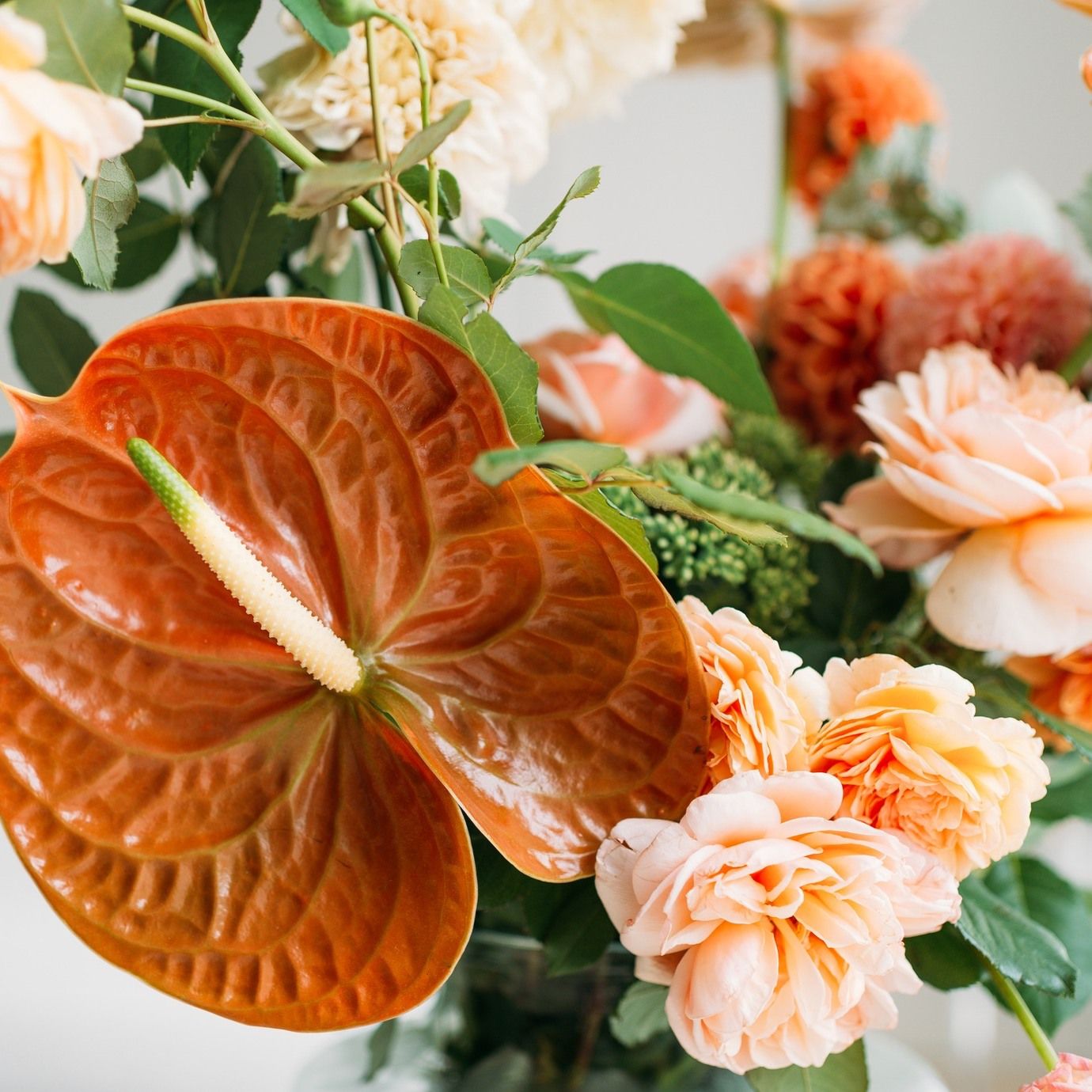 Floral Concepts – Houston