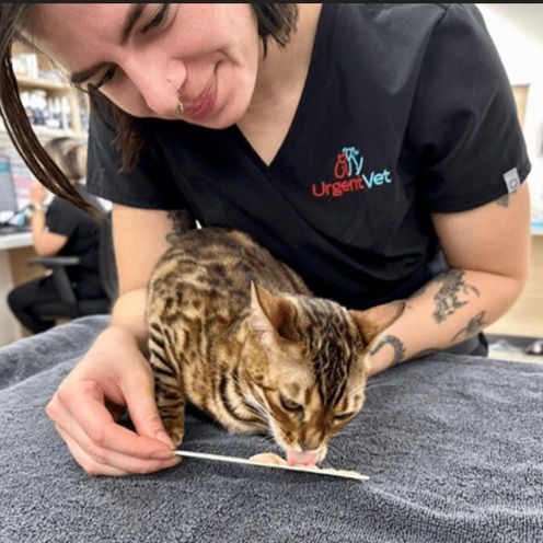 Urgent Vet