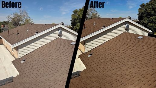 Revive Your Roof