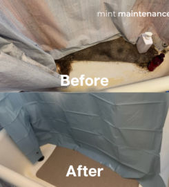 Mint Maintenance