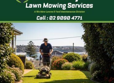 Brooklyn Lawn Mowing Services