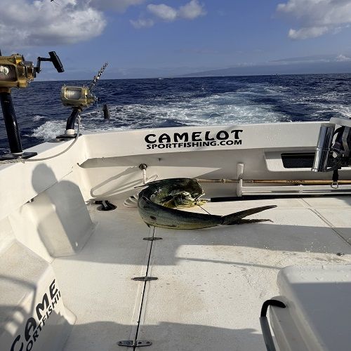 Camelot Kona Fishing Charters Sport HI