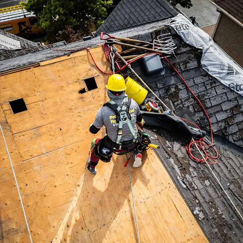 Professional Roofers