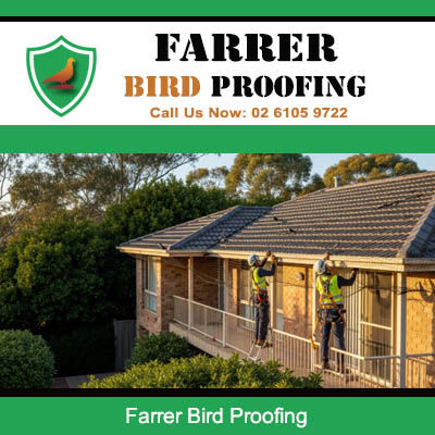 Farrer Bird Proofing