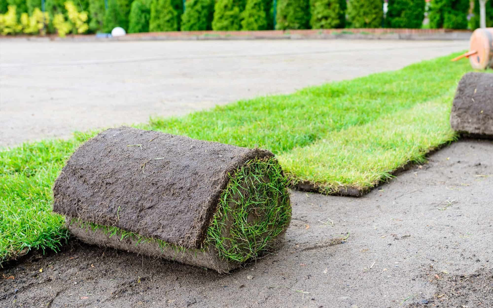 Artificial Grass for Lawns Denton