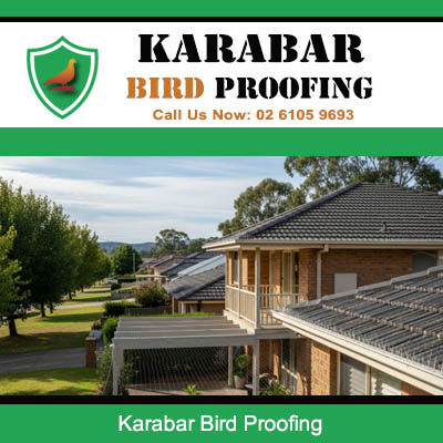 Karabar Bird Proofing