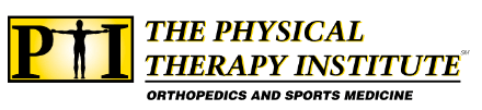 The Physical Therapy Institute