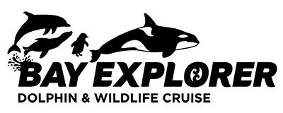 Bay Explorer – Dolphin and Wildlife Cruises