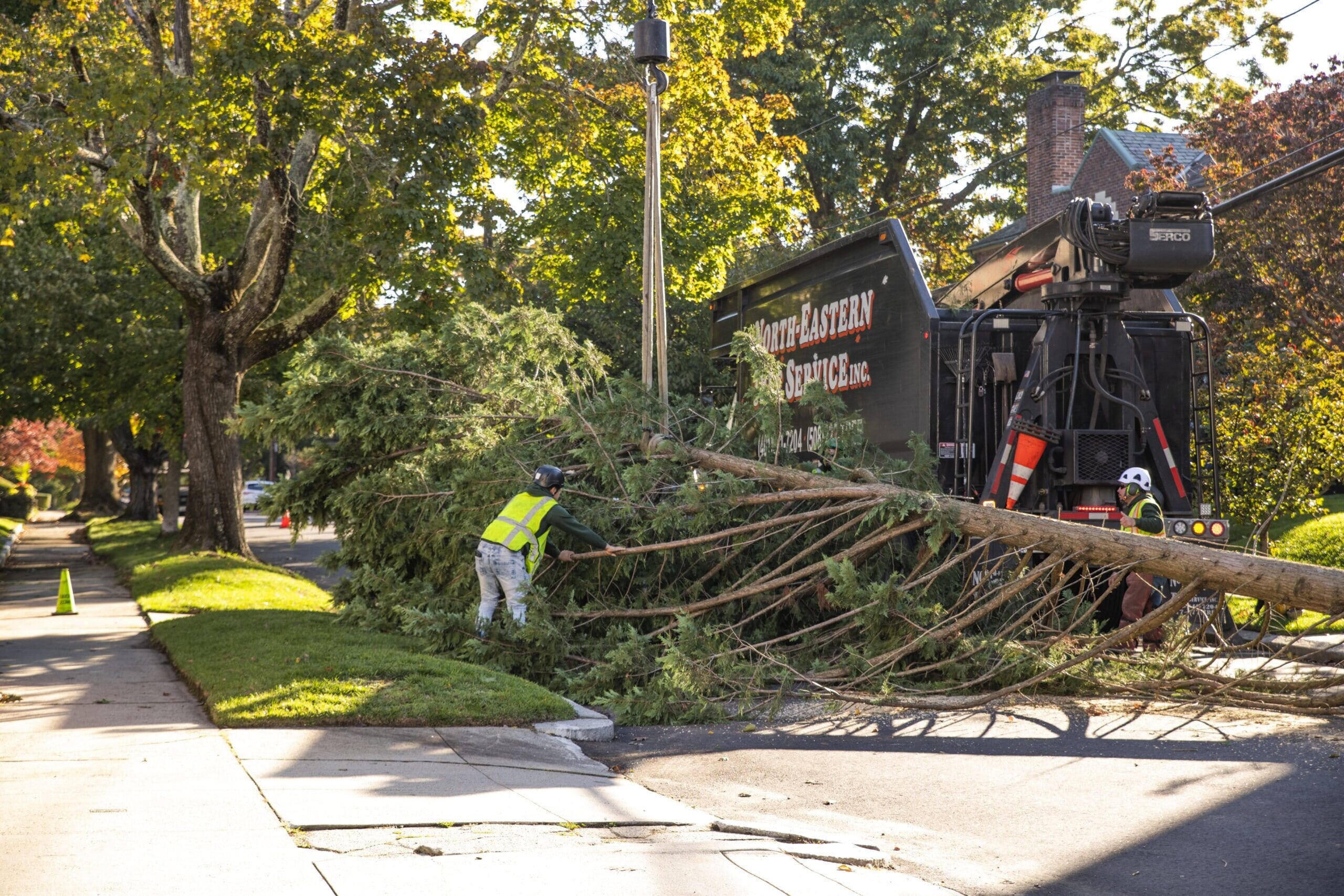 North Eastern Tree Service – Certified Arborists in RI, MA &amp &hellip;