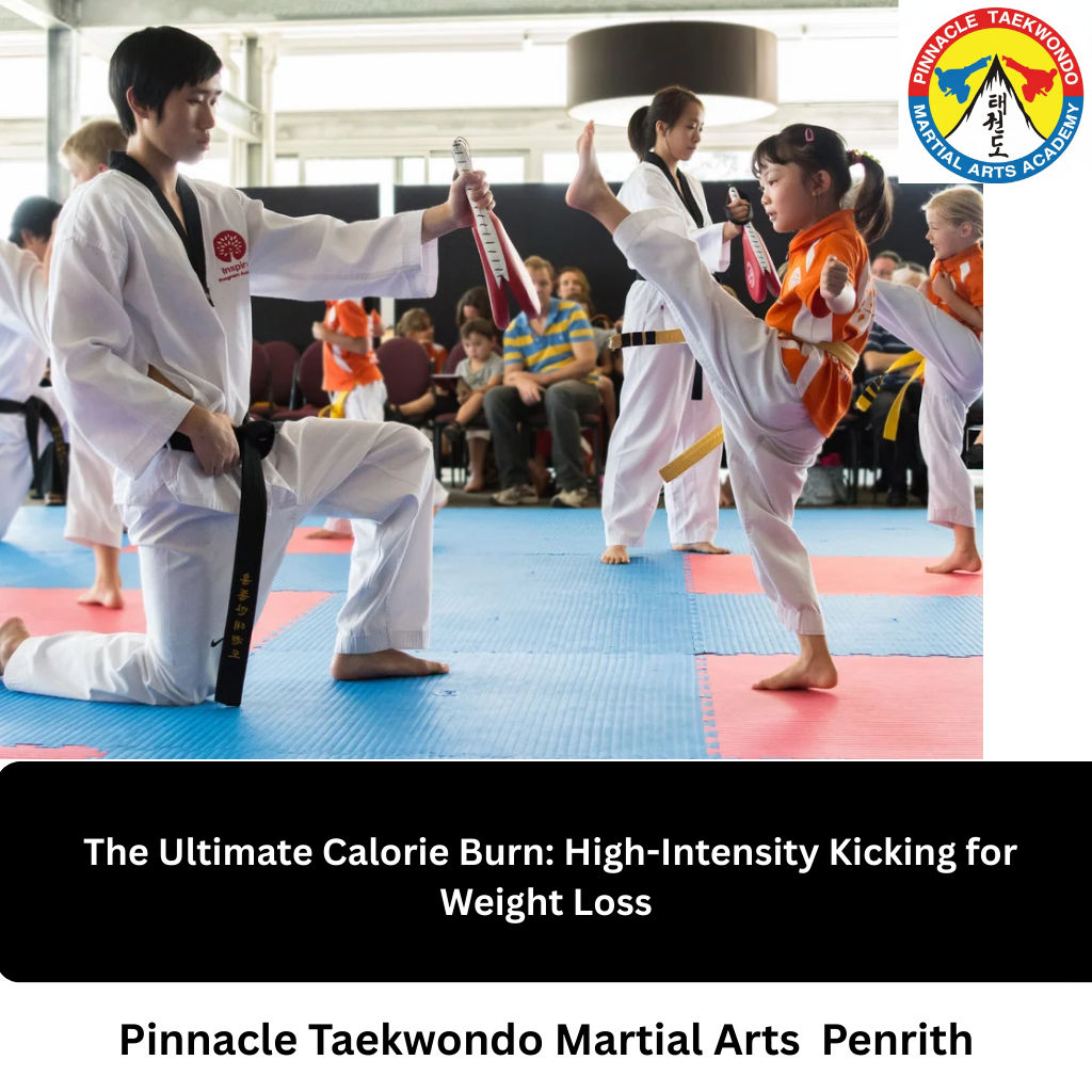 Pinnacle Taekwondo Martial Arts In Penrith