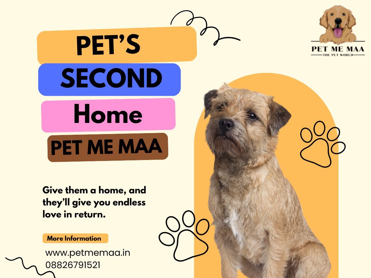 Pet Me Maa – Dog Boarding Noida