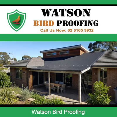 Watson Bird Proofing