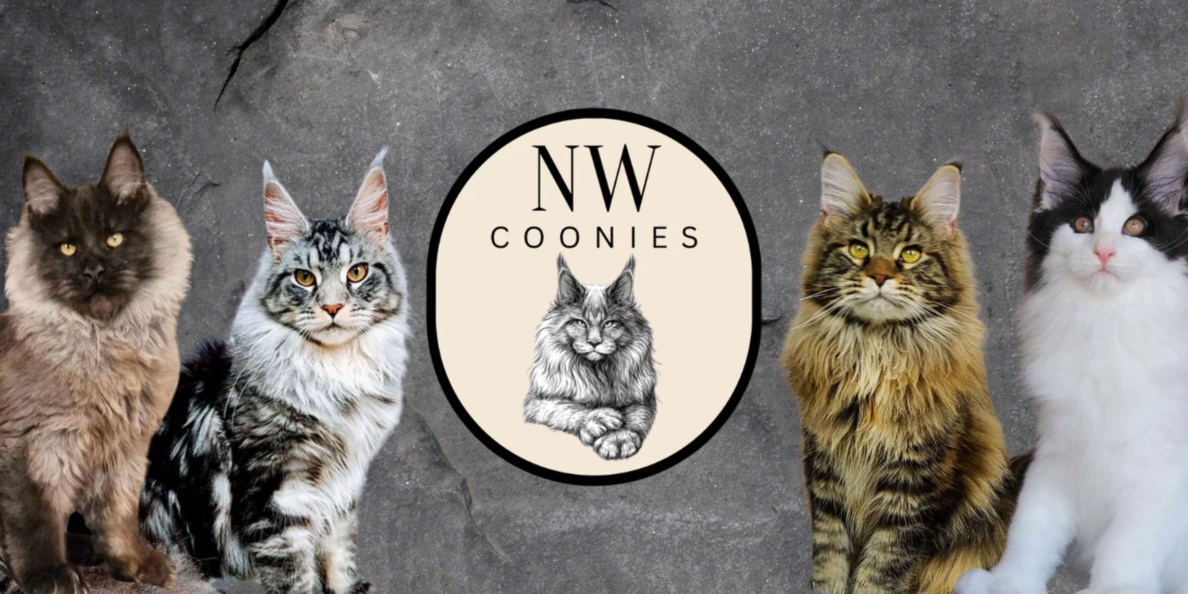 NW Coonies