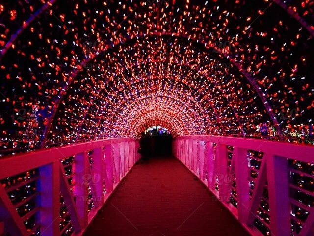 Illuminated Lighting Trails Ltd