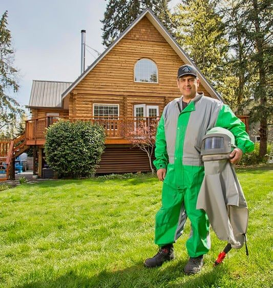 Frontier Log Home Restoration
