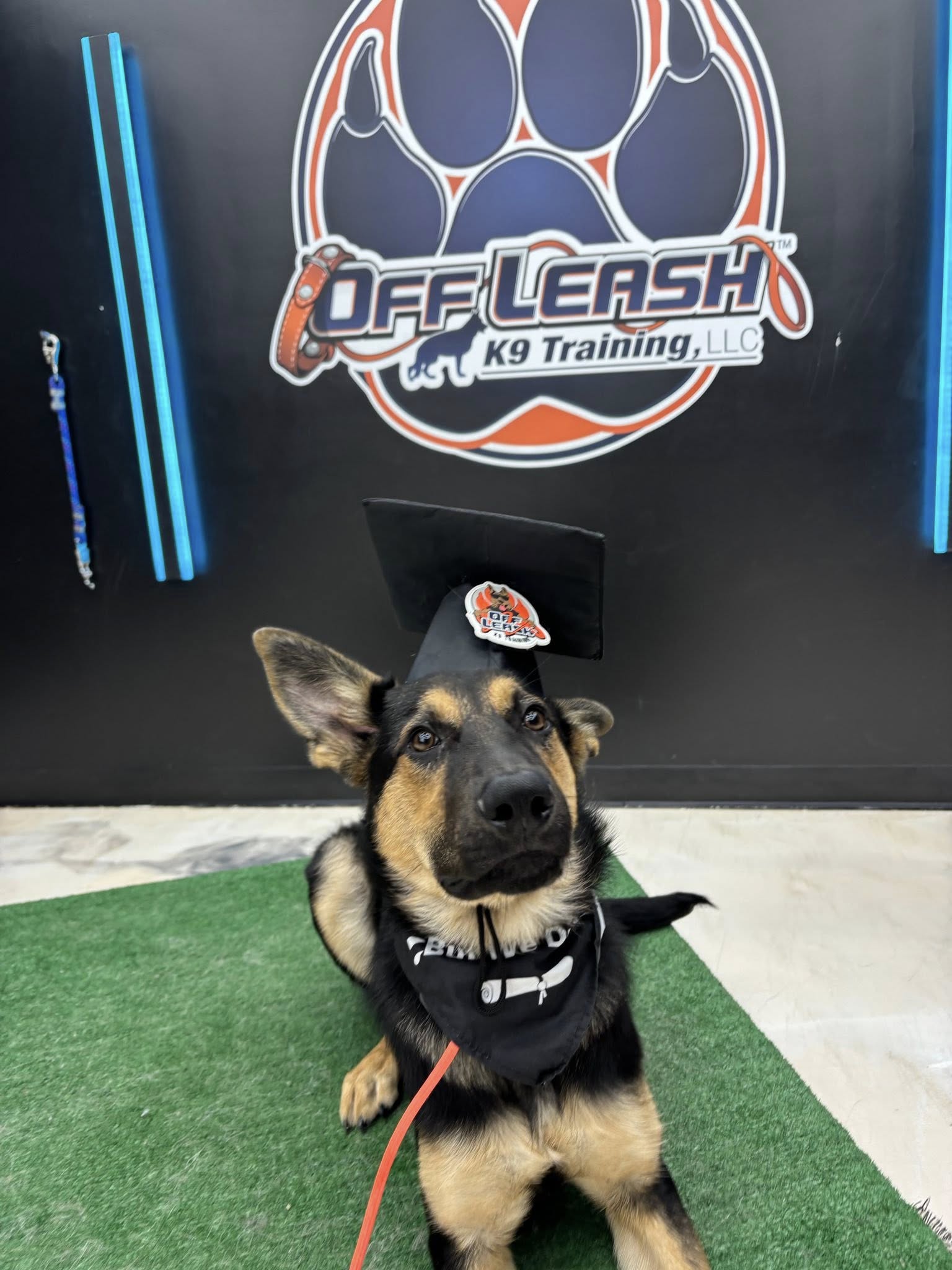 Off Leash K9 of Northern Virginia