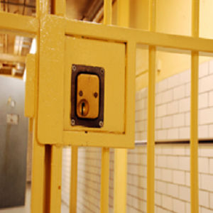 Freebird Bail Bonds