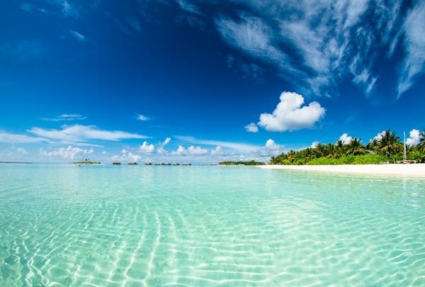 Airlie Jetski Tours