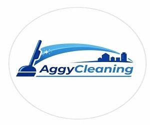 Aggy Cleaning Services | Royersford, Collegeville & Phoenixvi &hellip;