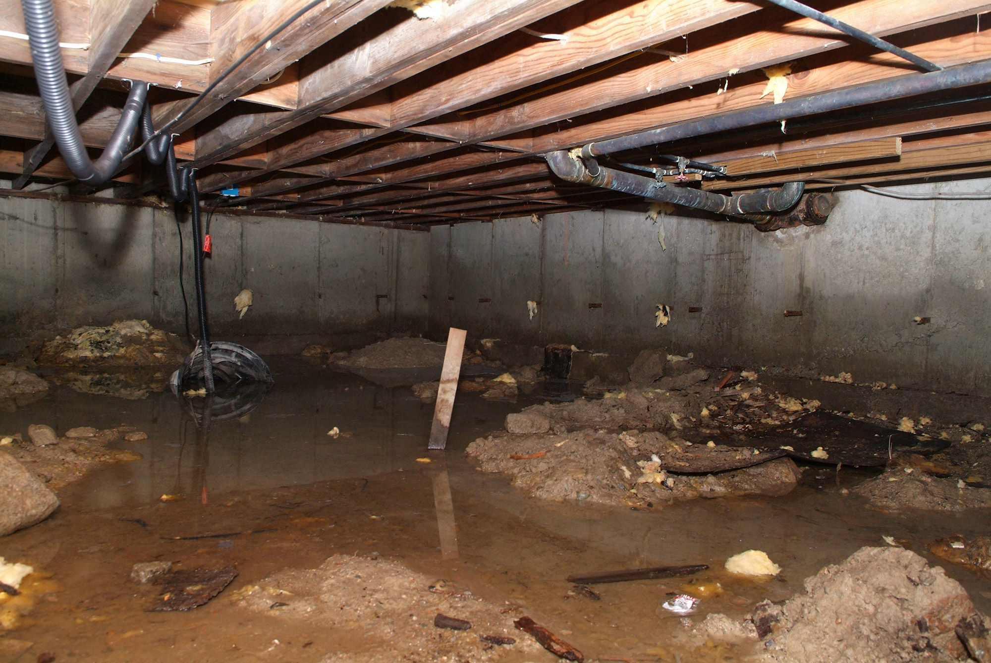 Pioneer Basement