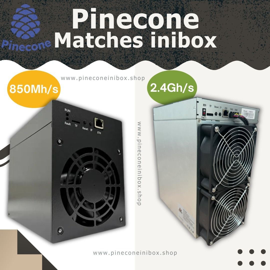 Pinecone Matches Inibox
