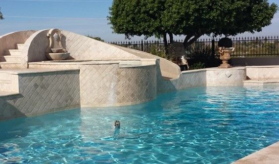 Nexus Pool Care